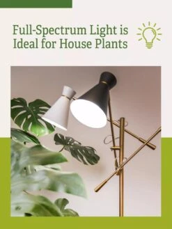 Adjustable 3-Arm Grow Lamp 2 Adjustable 3-Arm Grow Lamp -Gardene Supply Sales 3 Arm 1