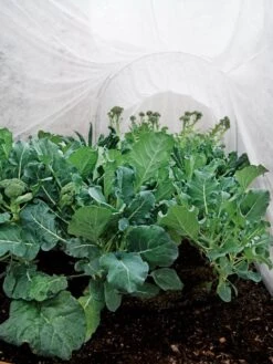 Summerweight Garden Fabric -Gardene Supply Sales 32644 7936 tif