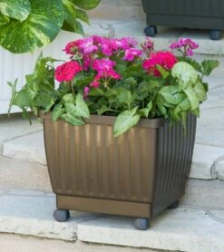 Self-Watering Rolling Planters, 15"