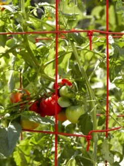 Tomato Cages, Set Of 4 2 Tomato Cages, Set Of 4 -Gardene Supply Sales 34182 592