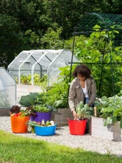 3-Season Plant Protection Tent, 3' X 6' 9 3-Season Plant Protection Tent, 3' X 6' -Gardene Supply Sales 35 592 0181 1