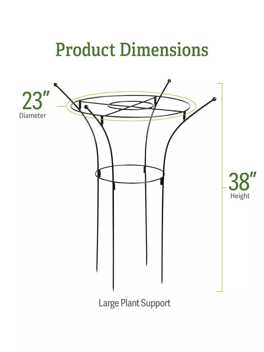 Essex Plant Supports Essex Plant Supports -Gardene Supply Sales 37 423 dims