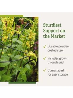 Essex Plant Supports 6 Essex Plant Supports -Gardene Supply Sales 37 423 product details