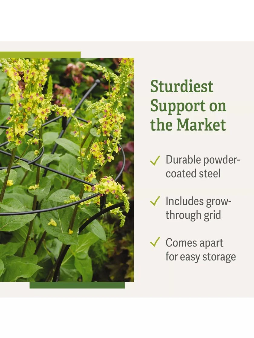 Essex Plant Supports Essex Plant Supports -Gardene Supply Sales 37 423 product details