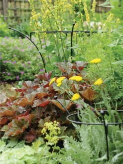 Essex Plant Supports 2 Essex Plant Supports -Gardene Supply Sales 37423 280 tif