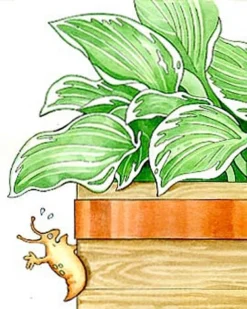 Copper Slug Tape -Gardene Supply Sales 38 994 b