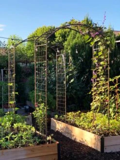 Featured Products -Gardene Supply Sales 38690 02IN tif