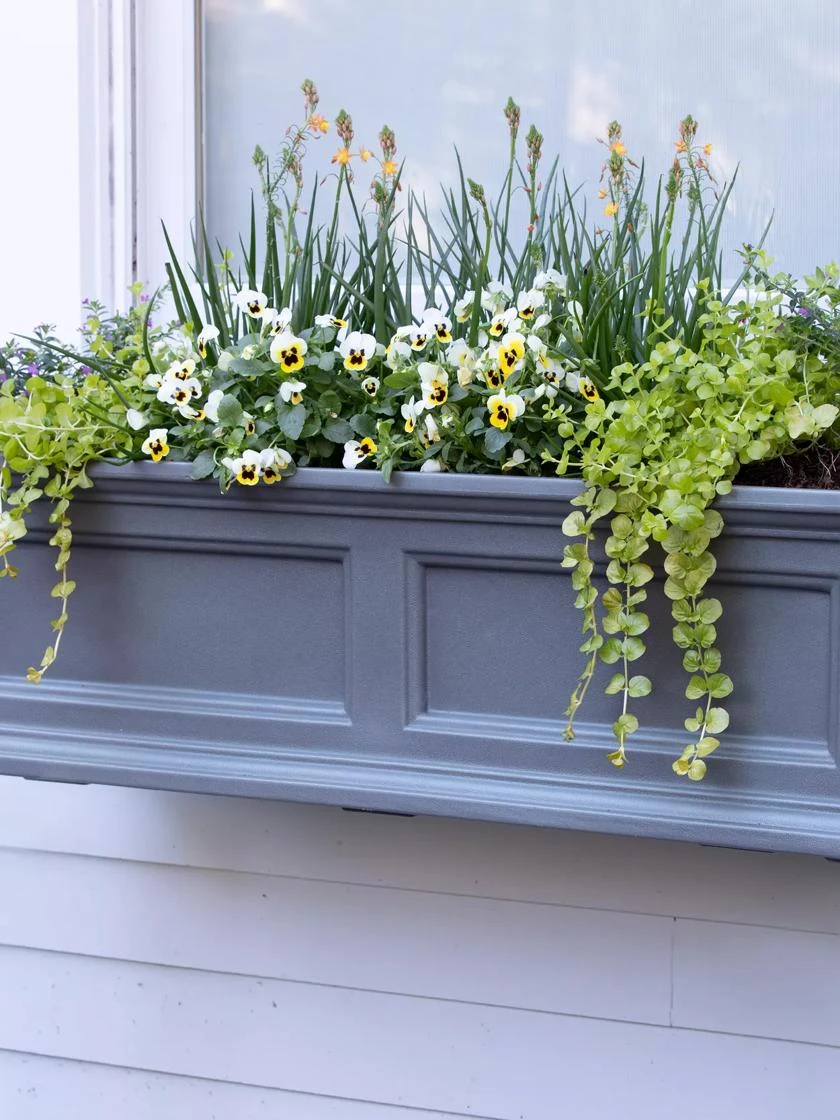Fairfield Self-Watering Window Box, 3’ Fairfield Self-Watering Window Box, 3’ -Gardene Supply Sales 39 344 9360 tif