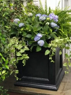 Fairfield Self-Watering Square Planter, 20” X 20” 3 Fairfield Self-Watering Square Planter, 20” X 20” -Gardene Supply Sales 39 618 205V tif