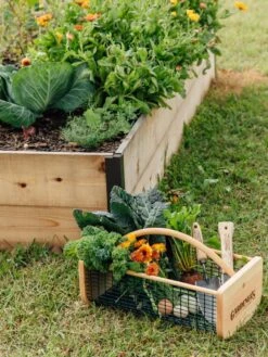 Garden Hods -Gardene Supply Sales 39 761 572 tif