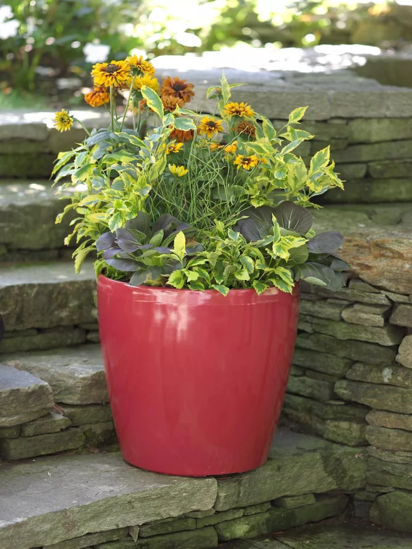 Viva Round Self-Watering Rolling Planter, 17.25” Diameter Viva Round Self-Watering Rolling Planter, 17.25” Diameter -Gardene Supply Sales 39326 046 tif
