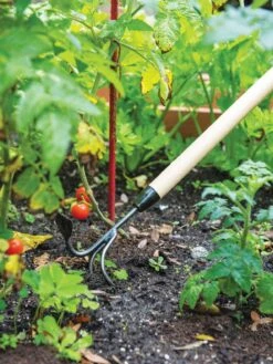 Gardener's Lifetime Long-Handled Double Tool -Gardene Supply Sales 3 4 crop 8592107 2460 tif
