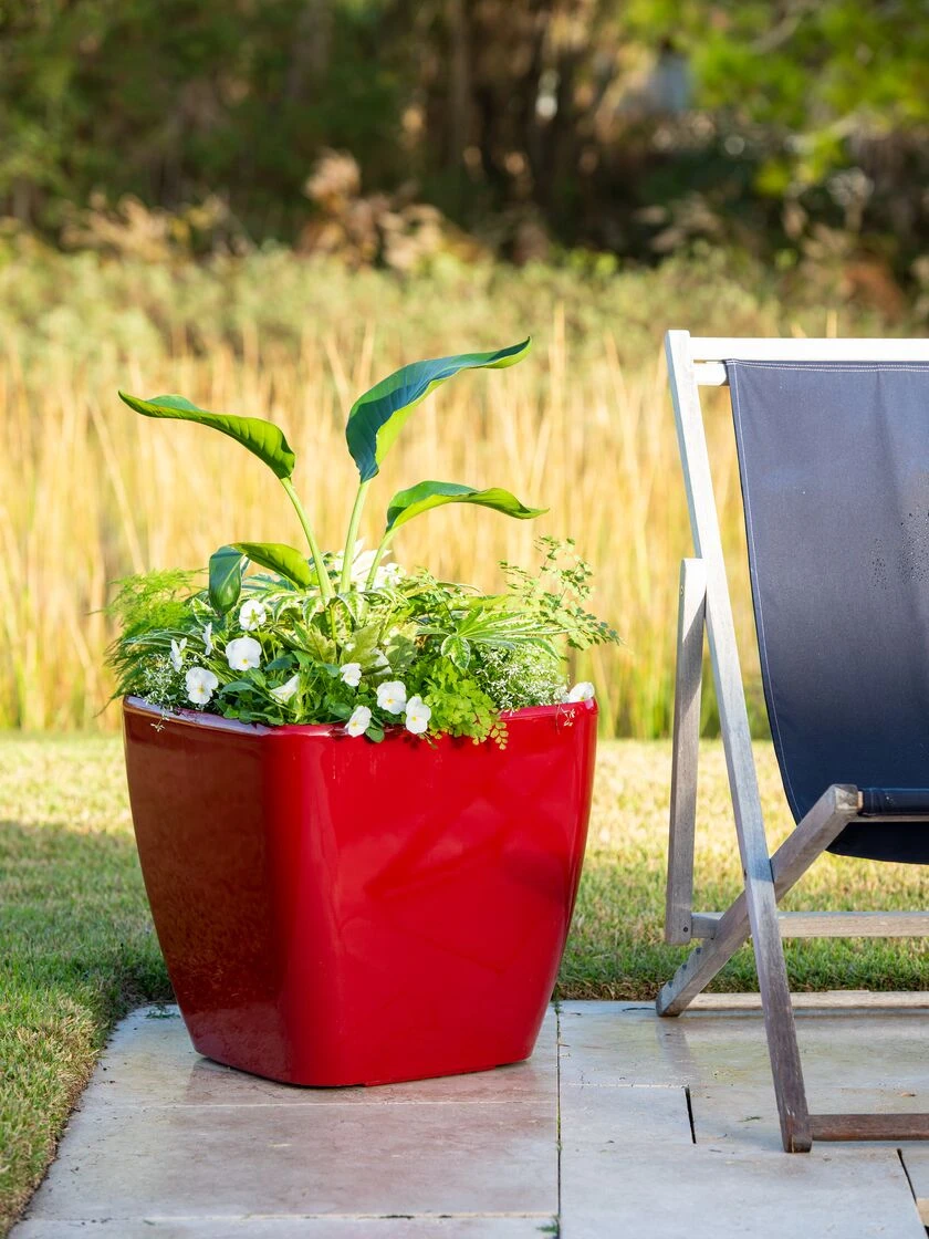 Viva Square Self-Watering Rolling Planter, 20" Diameter, Set of 2 Viva Square Self-Watering Rolling Planter, 20" Diameter, Set Of 2 -Gardene Supply Sales 3 4 crop 8612930 0035 tif