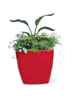 Viva Square Self-Watering Rolling Planter, 20" Diameter, Set Of 2 5 Viva Square Self-Watering Rolling Planter, 20" Diameter, Set Of 2 -Gardene Supply Sales 3 4 crop 8612930 0037 tif
