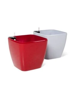 Viva Square Self-Watering Rolling Planter, 20" Diameter, Set Of 2 10 Viva Square Self-Watering Rolling Planter, 20" Diameter, Set Of 2 -Gardene Supply Sales 3 4 crop 8612930 0104