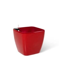 Viva Square Self-Watering Rolling Planter, 20" Diameter, Set Of 2 12 Viva Square Self-Watering Rolling Planter, 20" Diameter, Set Of 2 -Gardene Supply Sales 3 4 crop 8612930 0105