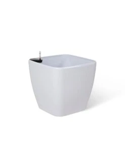 Viva Square Self-Watering Rolling Planter, 20" Diameter, Set Of 2 11 Viva Square Self-Watering Rolling Planter, 20" Diameter, Set Of 2 -Gardene Supply Sales 3 4 crop 8612930 0106