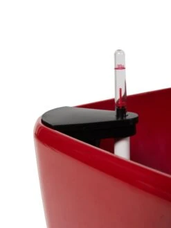 Viva Square Self-Watering Rolling Planter, 20" Diameter, Set Of 2 6 Viva Square Self-Watering Rolling Planter, 20" Diameter, Set Of 2 -Gardene Supply Sales 3 4 crop 8612930 0107