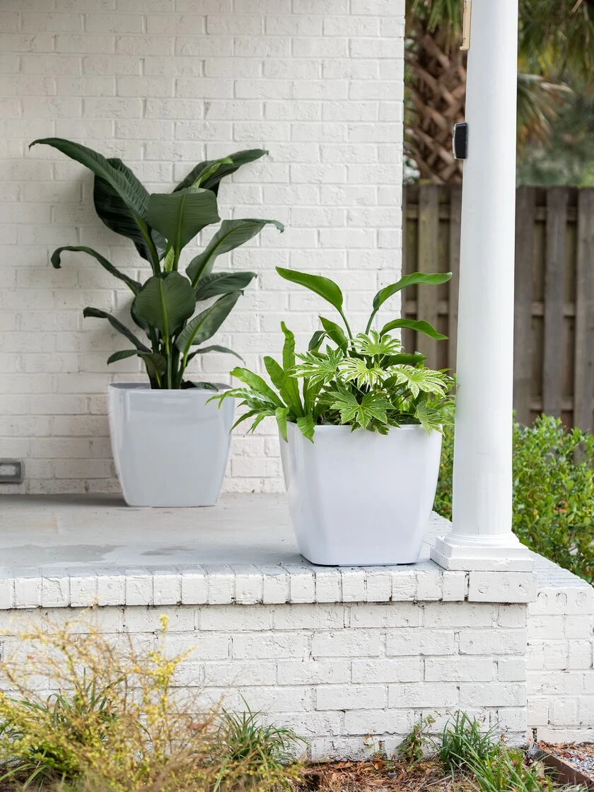 Viva Square Self-Watering Rolling Planter, 20" Diameter, Set of 2 Viva Square Self-Watering Rolling Planter, 20" Diameter, Set Of 2 -Gardene Supply Sales 3 4 crop 8612930 10031