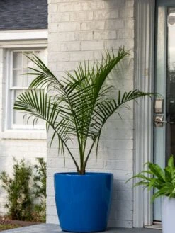 Viva Round Self-Watering Rolling Planter, 20" Diameter, Set Of 2 -Gardene Supply Sales 3 4 crop 8612933 0024 tif