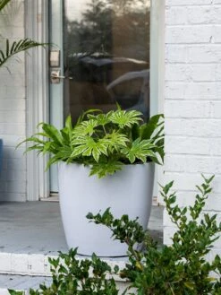 Viva Round Self-Watering Rolling Planter, 20" Diameter, Set Of 2 -Gardene Supply Sales 3 4 crop 8612933 0025 tif