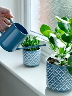 Pinpoint Indoor Watering Can -Gardene Supply Sales 3 4 crop 8612963 03V tif