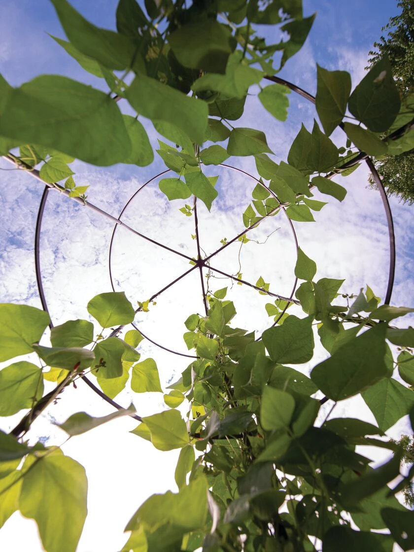 Jardin Tower Jardin Tower -Gardene Supply Sales 3 4 crop 8612997 0033