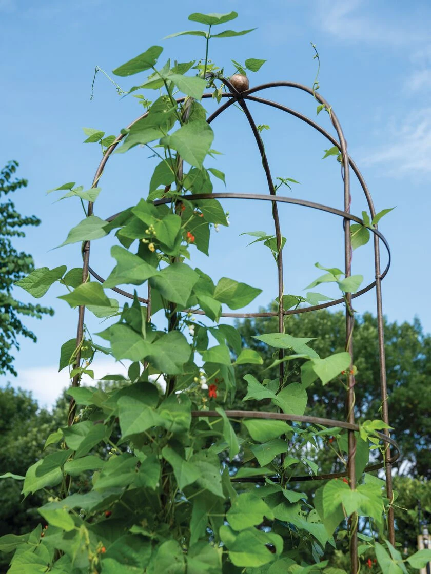 Jardin Tower Jardin Tower -Gardene Supply Sales 3 4 crop 8612997 0057 jardin tower