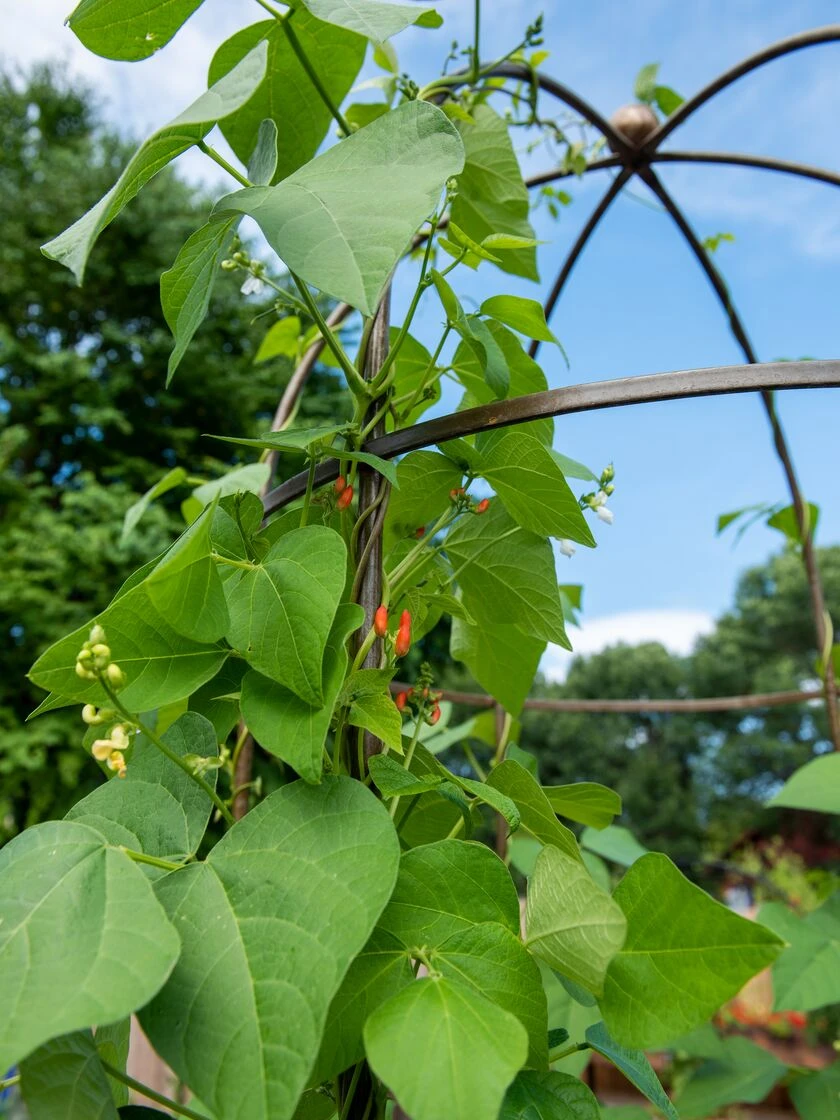 Jardin Tower Jardin Tower -Gardene Supply Sales 3 4 crop 8612997 0058