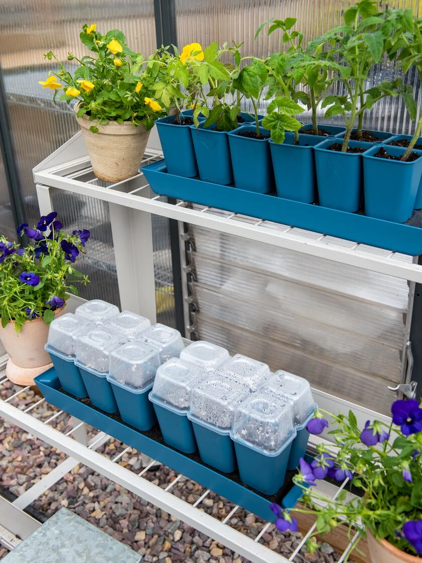 Gardener's Best® Humidity Dome, Set of 2 Gardener's Best® Humidity Dome, Set Of 2 -Gardene Supply Sales 3 4 crop 8613067 0463