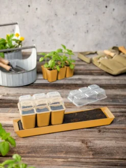 Gardener's Best® Humidity Dome, Set Of 2 2 Gardener's Best® Humidity Dome, Set Of 2 -Gardene Supply Sales 3 4 crop 8613067 10063