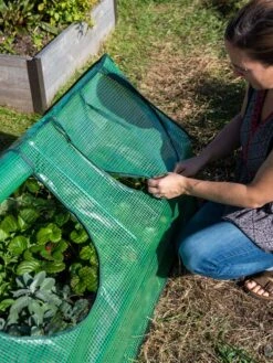 Multi Cloche 3 Multi Cloche -Gardene Supply Sales 3 4 crop 8613213 0245