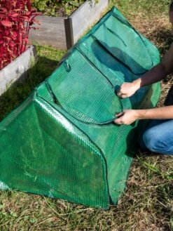 Multi Cloche 2 Multi Cloche -Gardene Supply Sales 3 4 crop 8613213 0250