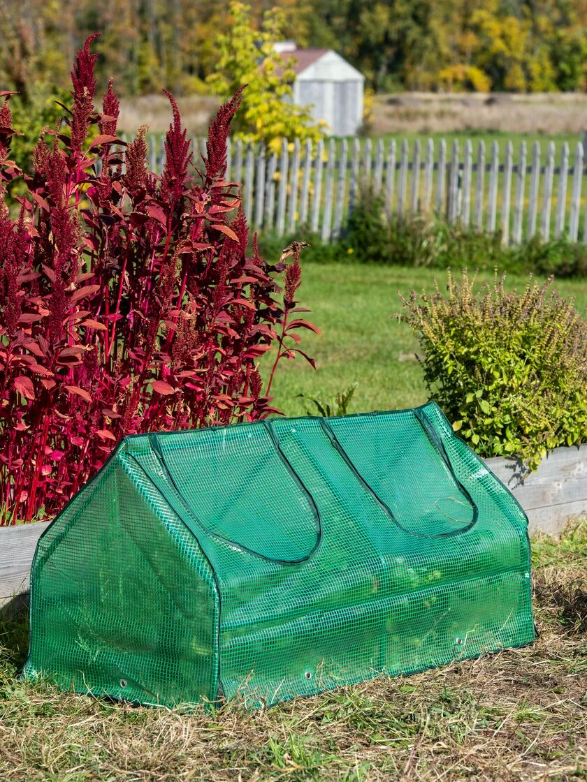 Multi Cloche Multi Cloche -Gardene Supply Sales 3 4 crop 8613213 0262