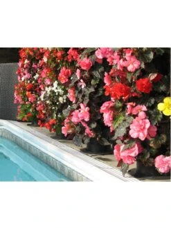 Flower Tower -Gardene Supply Sales 3 4 crop 8613624 03V