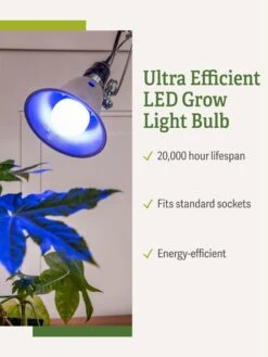 Miracle LED® Grow Light Bulb, Blue -Gardene Supply Sales 3 4 crop Miracle Bulb Blue 1