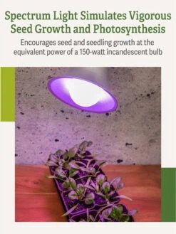 Miracle LED® Grow Light Bulb, Red And Blue -Gardene Supply Sales 3 4 crop Miracle Bulb RB 3