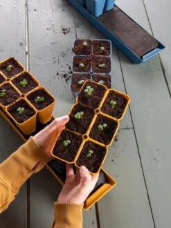 Gardener's Best® XL Seed Starting Kit -Gardene Supply Sales 40 135 6186