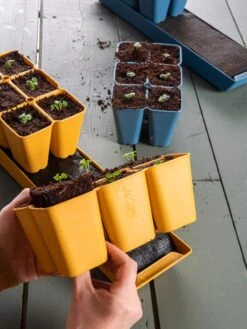 Coco Coir Seed Starting Mix -Gardene Supply Sales 40 135 6192