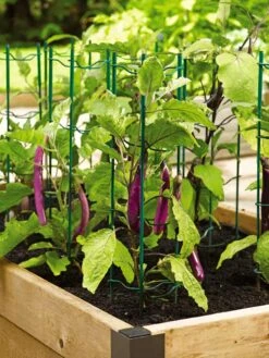 Pepper And Eggplant Stakes, Set Of 3 -Gardene Supply Sales 40308 2116 tif