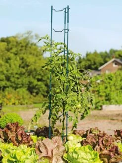 Stacking Tomato Ladders, Set Of 6 -Gardene Supply Sales 40309 100 tif