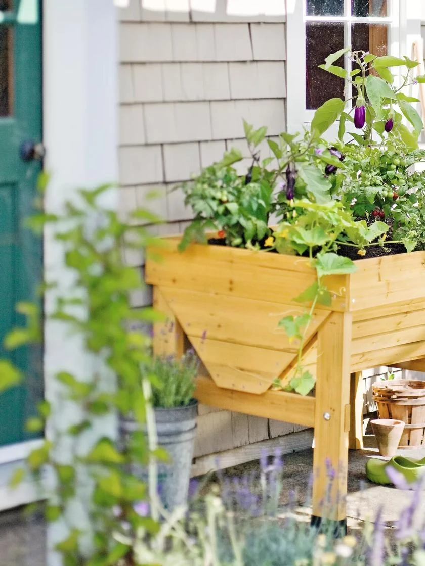 Compact VegTrug® Patio Garden Compact VegTrug® Patio Garden -Gardene Supply Sales 40365B 100 tif