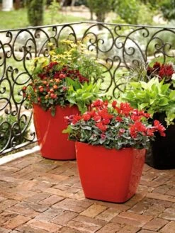 Viva Square Self-Watering Rolling Planter, 14" Diameter -Gardene Supply Sales 8586699 982 tif