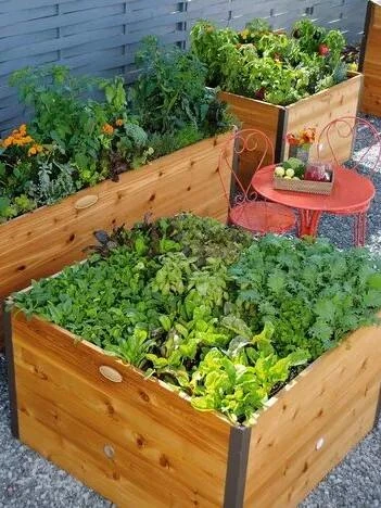 Elevated Raised Bed, 4' x 4' Elevated Raised Bed, 4' X 4' -Gardene Supply Sales 8586748 014