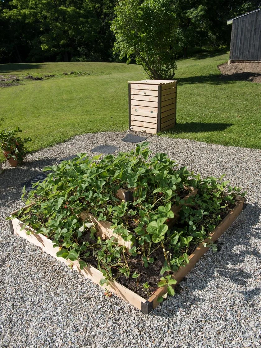 3-Tier Strawberry Bed 3-Tier Strawberry Bed -Gardene Supply Sales 8586752 2341 tif