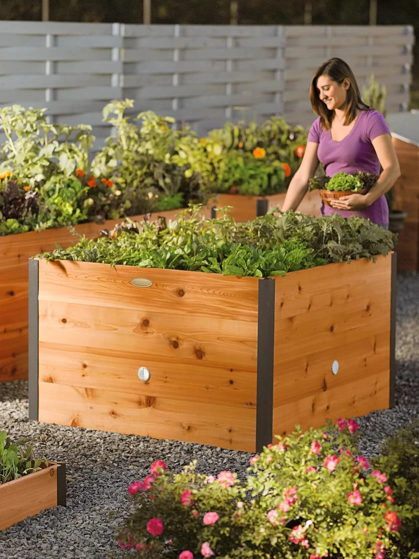 Elevated Raised Bed, 4' x 4' Elevated Raised Bed, 4' X 4' -Gardene Supply Sales 8586769 157 tif