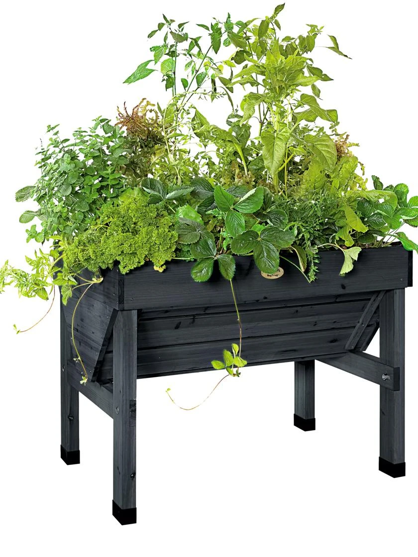 Compact VegTrug® Patio Garden Compact VegTrug® Patio Garden -Gardene Supply Sales 8586919 001 tif
