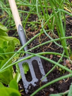 Gardener's Lifetime Spork -Gardene Supply Sales 8586973 2383 tif