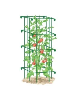 Tomato Cage, Single 3 Tomato Cage, Single -Gardene Supply Sales 8587039 TomatoCage GRN tif