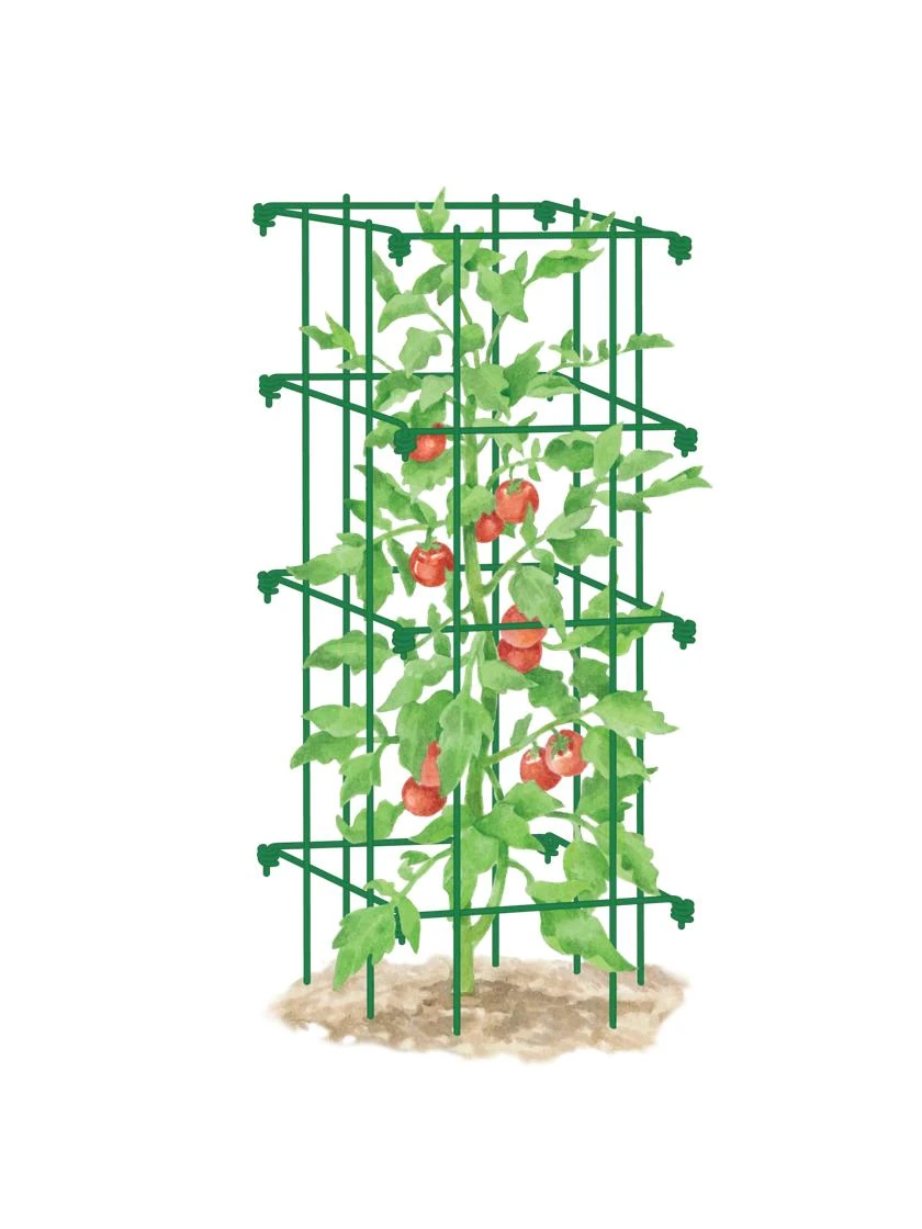 Tomato Cage, Single Tomato Cage, Single -Gardene Supply Sales 8587039 TomatoCage GRN tif